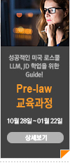 라인
